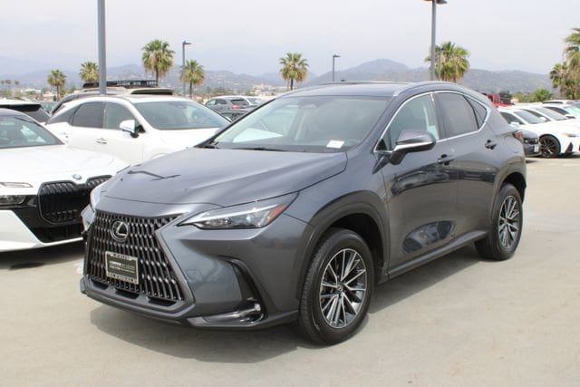 2025 LEXUS NX 350h Premium photo 3