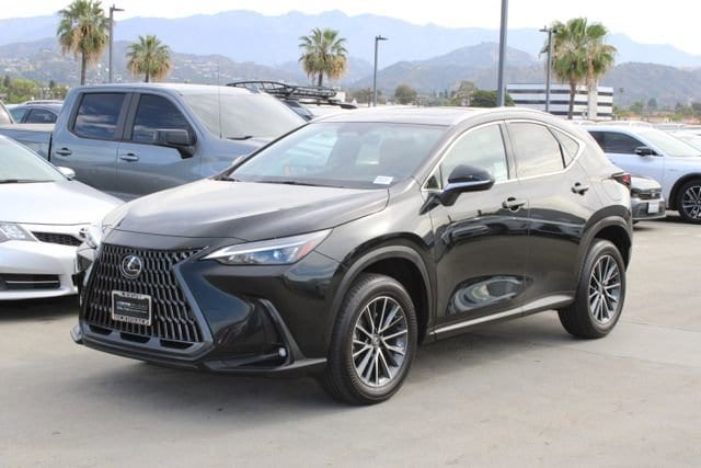 2025 LEXUS NX 350h Premium photo 3