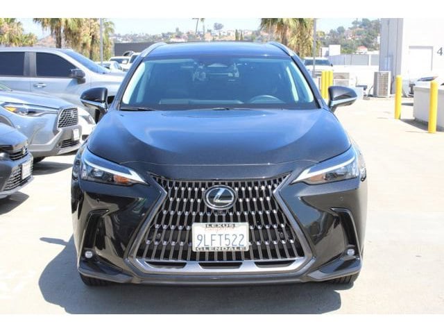 2024 LEXUS NX 350 Premium photo 2