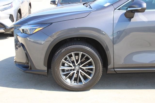 2026 LEXUS NX 350h Base photo 4