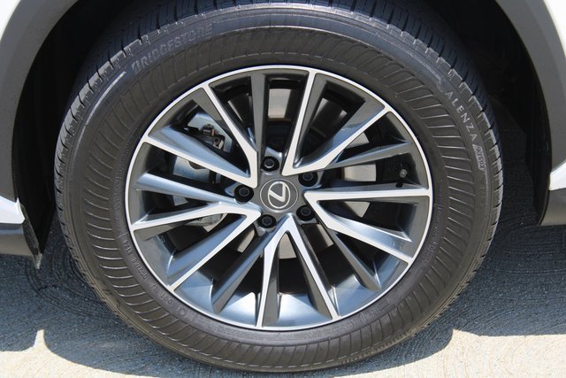2025 Lexus NX 350h photo 4