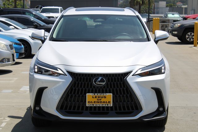 2025 Lexus NX 350h photo 2