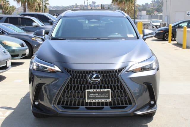 2025 LEXUS NX 350h Premium photo 2