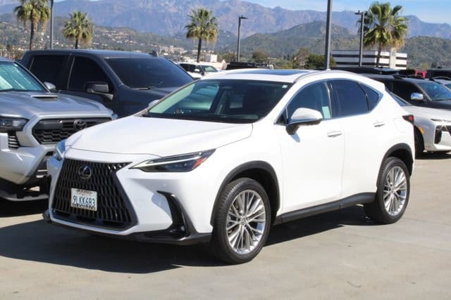 2024 LEXUS NX 350 Luxury photo 3