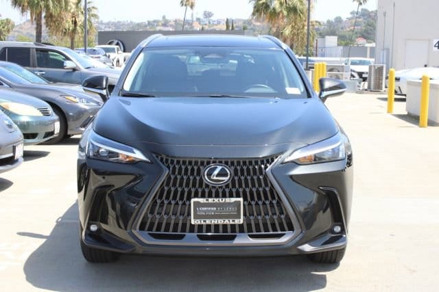 2025 LEXUS NX 350h photo 2