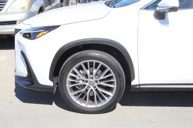 2024 LEXUS NX 350 Luxury photo 4