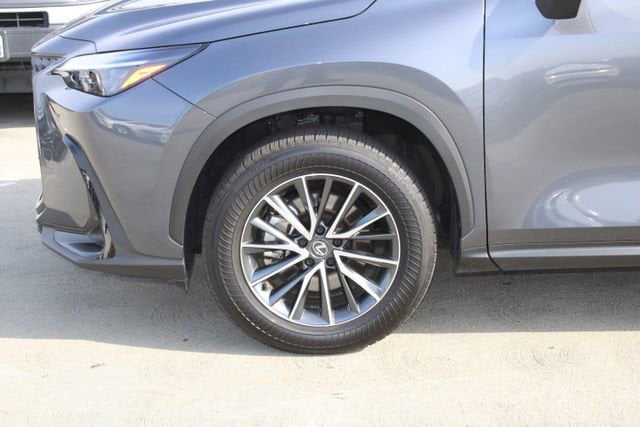 2024 LEXUS NX 350h photo 4