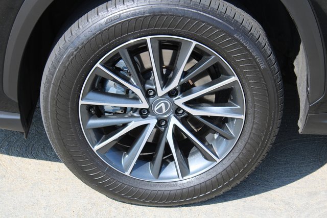 2025 Lexus NX 350h photo 2