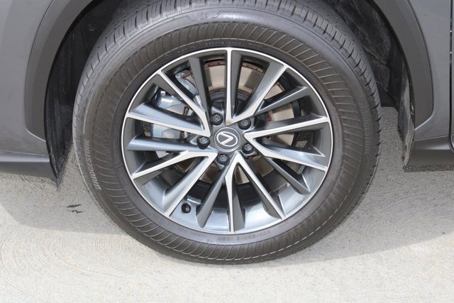 2025 Lexus NX 350h photo 2