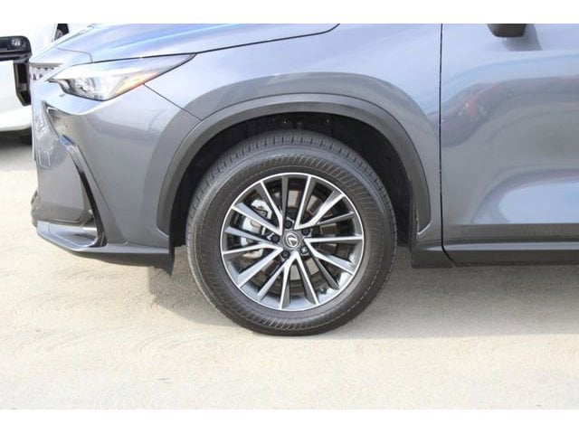 2025 LEXUS NX 350h Premium photo 4