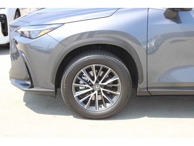 2025 LEXUS NX 350h Premium photo 4