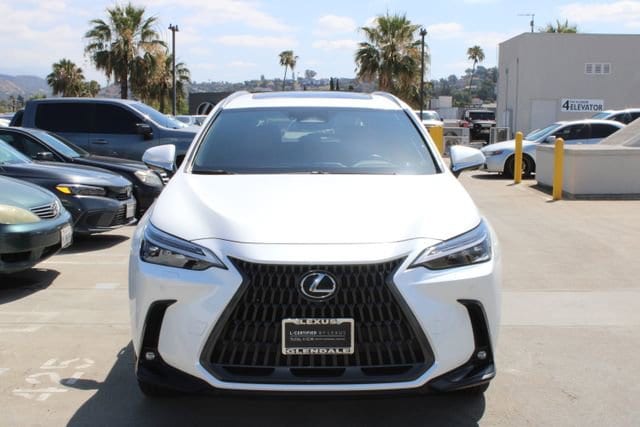 2024 LEXUS NX 450h+ Luxury photo 2