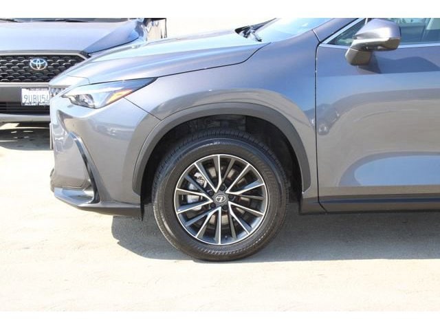 2025 Lexus NX 350h Premium photo 4