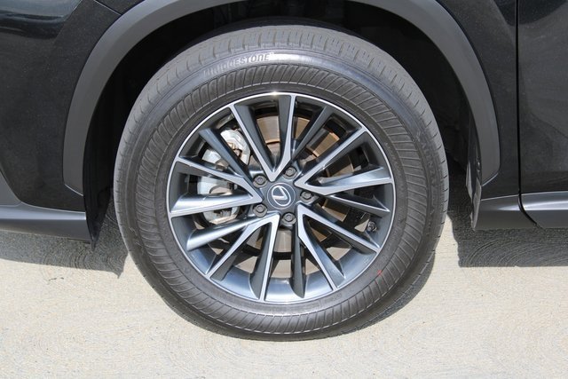 2025 Lexus NX 350h photo 2