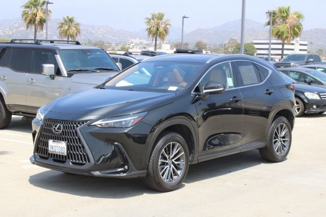 2024 LEXUS NX 350h Premium photo 3