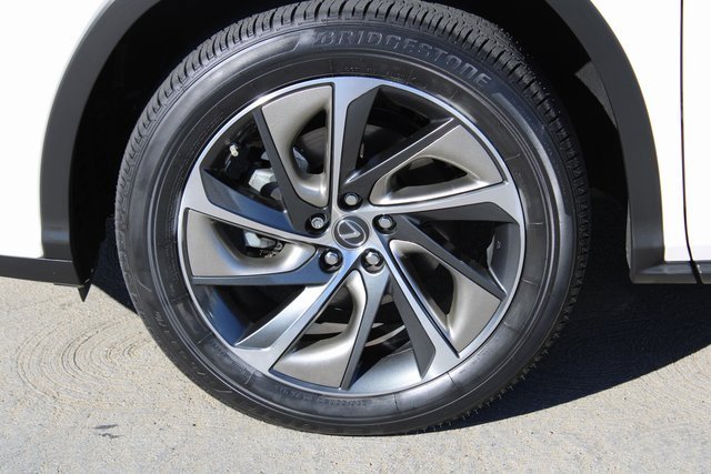 2019 Lexus RX 350L Luxury photo 4