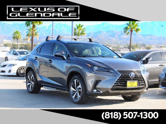2019 Lexus NX Hybrid
