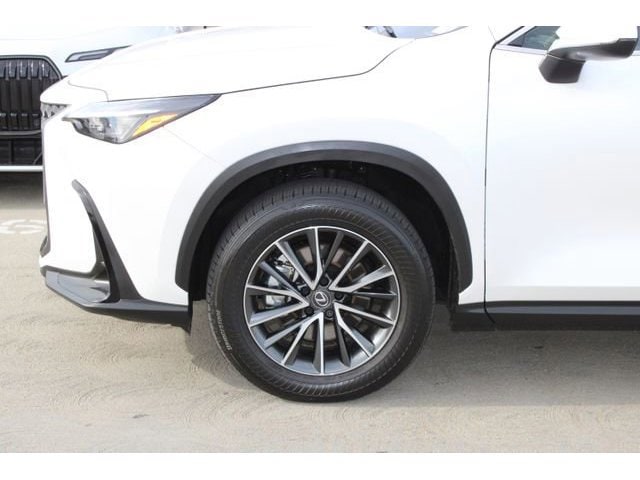 2025 LEXUS NX 350h Premium photo 4