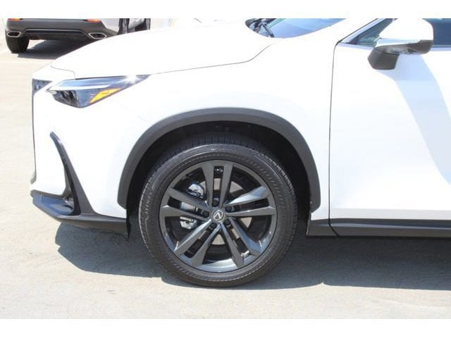 2024 Lexus NX 450h+ Luxury photo 4