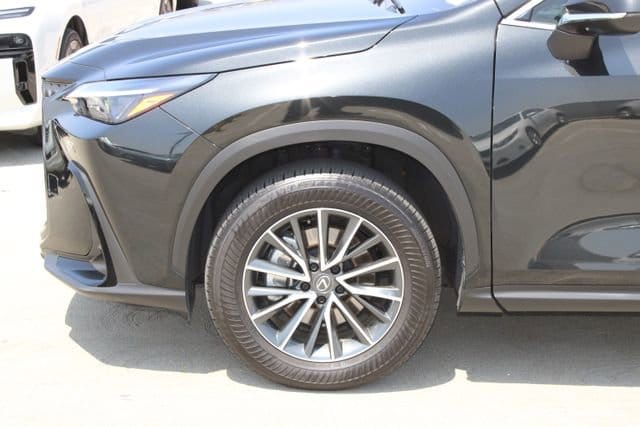 2024 LEXUS NX 350h Premium photo 4