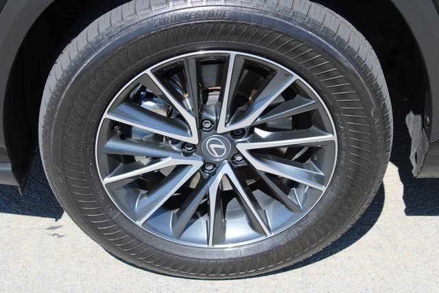 2025 Lexus NX 350h photo 4