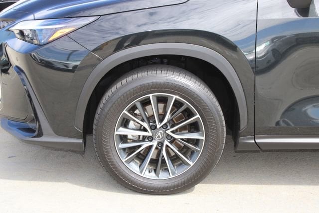2025 LEXUS NX 350h Premium photo 4