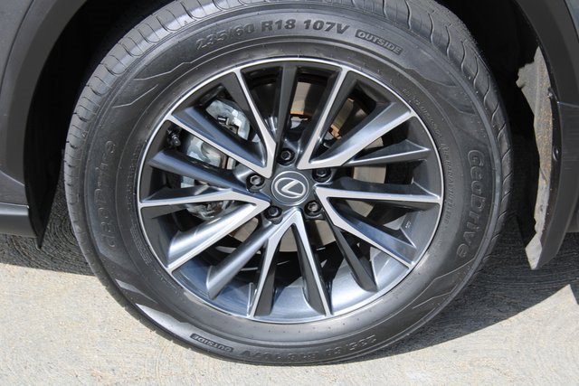 2024 Lexus NX 350h Premium photo 4