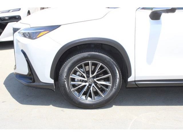2024 Lexus NX 350 Premium photo 4