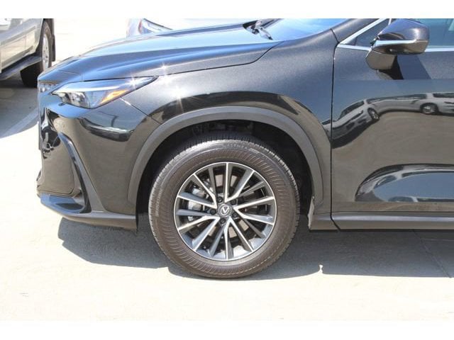 2024 LEXUS NX 350 Premium photo 4