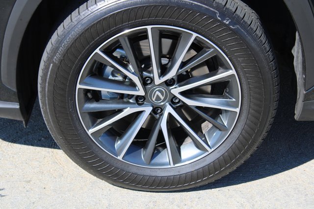 2025 Lexus NX Premium photo 4