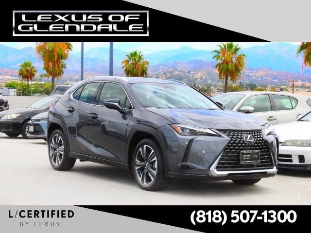 2025 Lexus UX 300h's photo