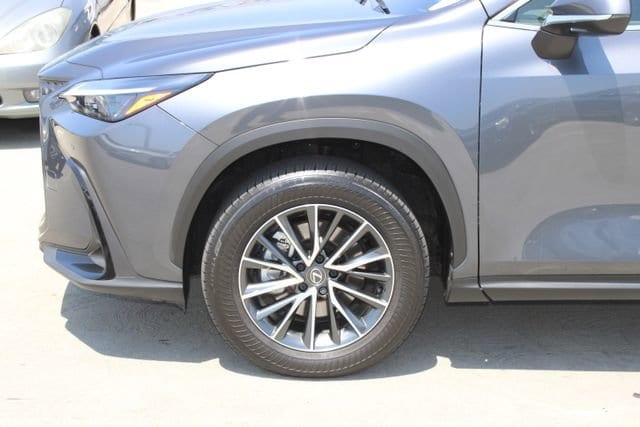 2025 LEXUS NX 350h Premium photo 4