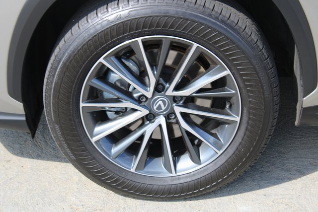 2025 Lexus NX 350h photo 4