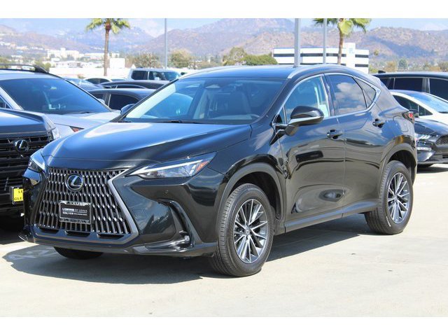 2025 Lexus NX 350h photo 3