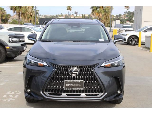 2025 LEXUS NX 350h Premium photo 2