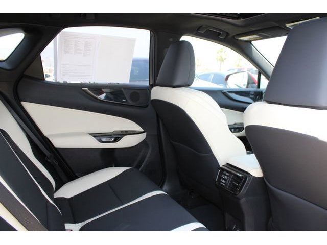 2024 LEXUS NX 350h Premium photo 6