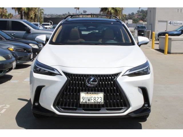 2025 LEXUS NX 450h+ Luxury photo 2