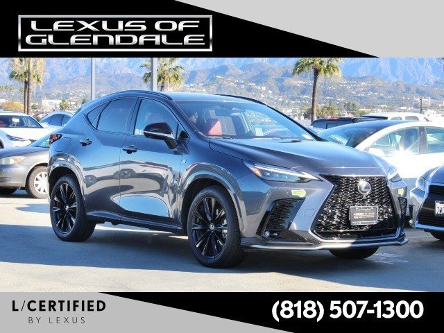 2023 Lexus NX PHEV 450h+'s photo