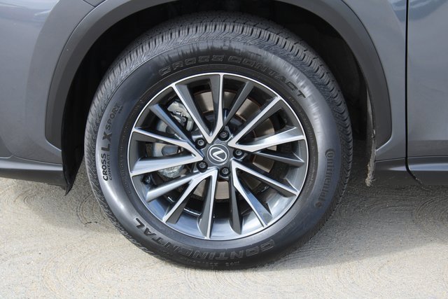 2024 Lexus NX 350 Premium photo 3