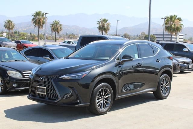 2026 LEXUS NX 350h Premium photo 3