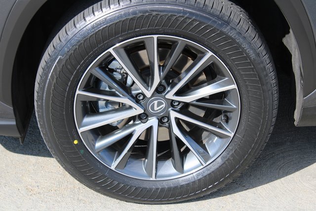 2025 Lexus NX 350h Premium photo 4