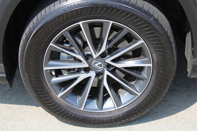 2022 Lexus NX 250 Premium photo 2