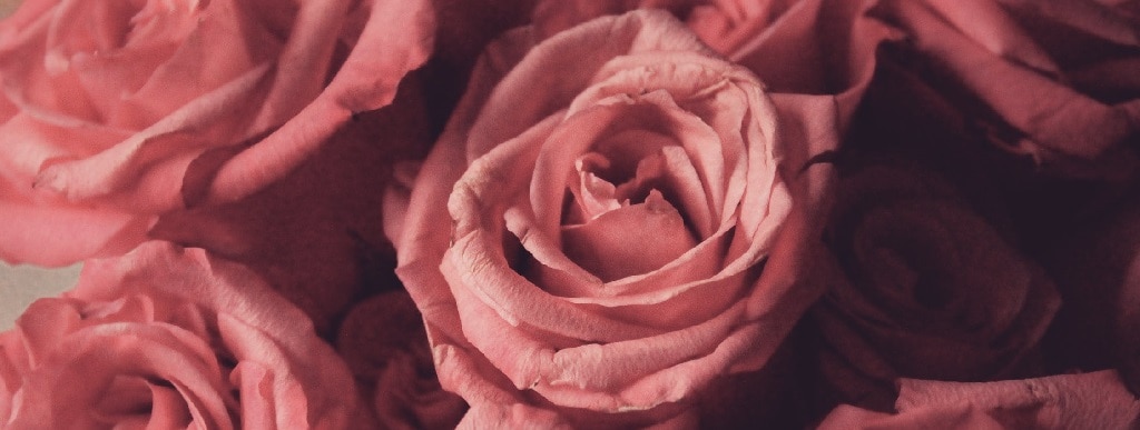 1024 × 387