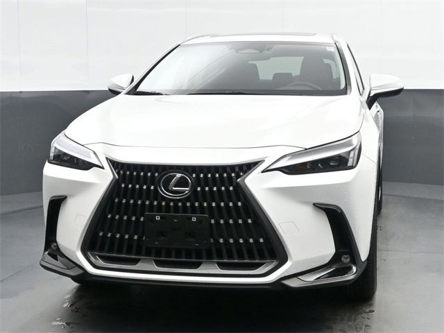 2024 Lexus NX 350 photo 3