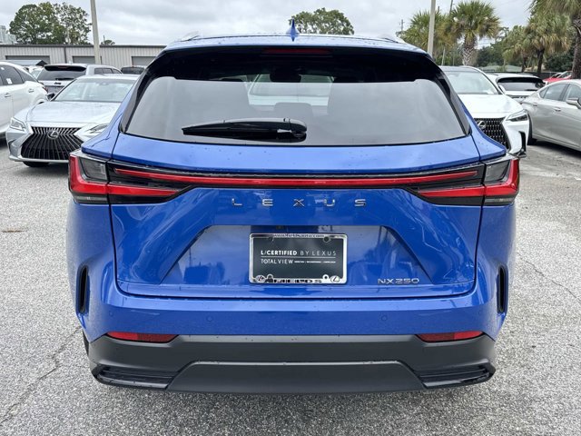 2025 Lexus NX 250 photo 4