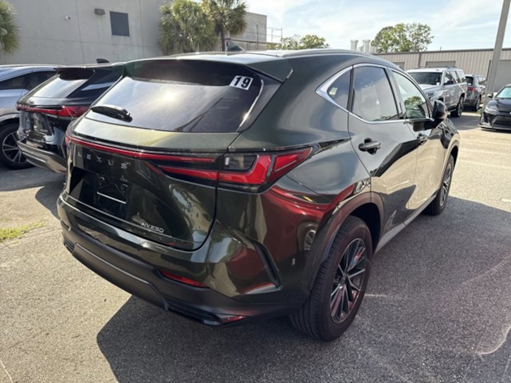 Used 2025 Lexus NX NX 250 Premium