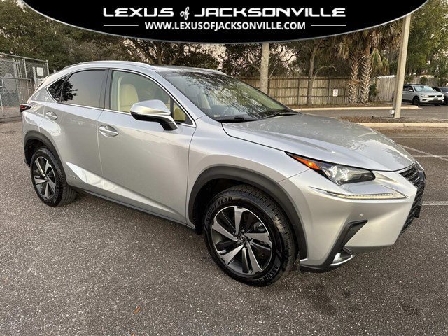 2019 Lexus NX Hybrid 300h's photo