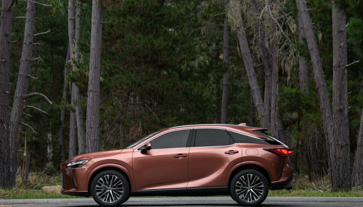 2025 Lexus RX
