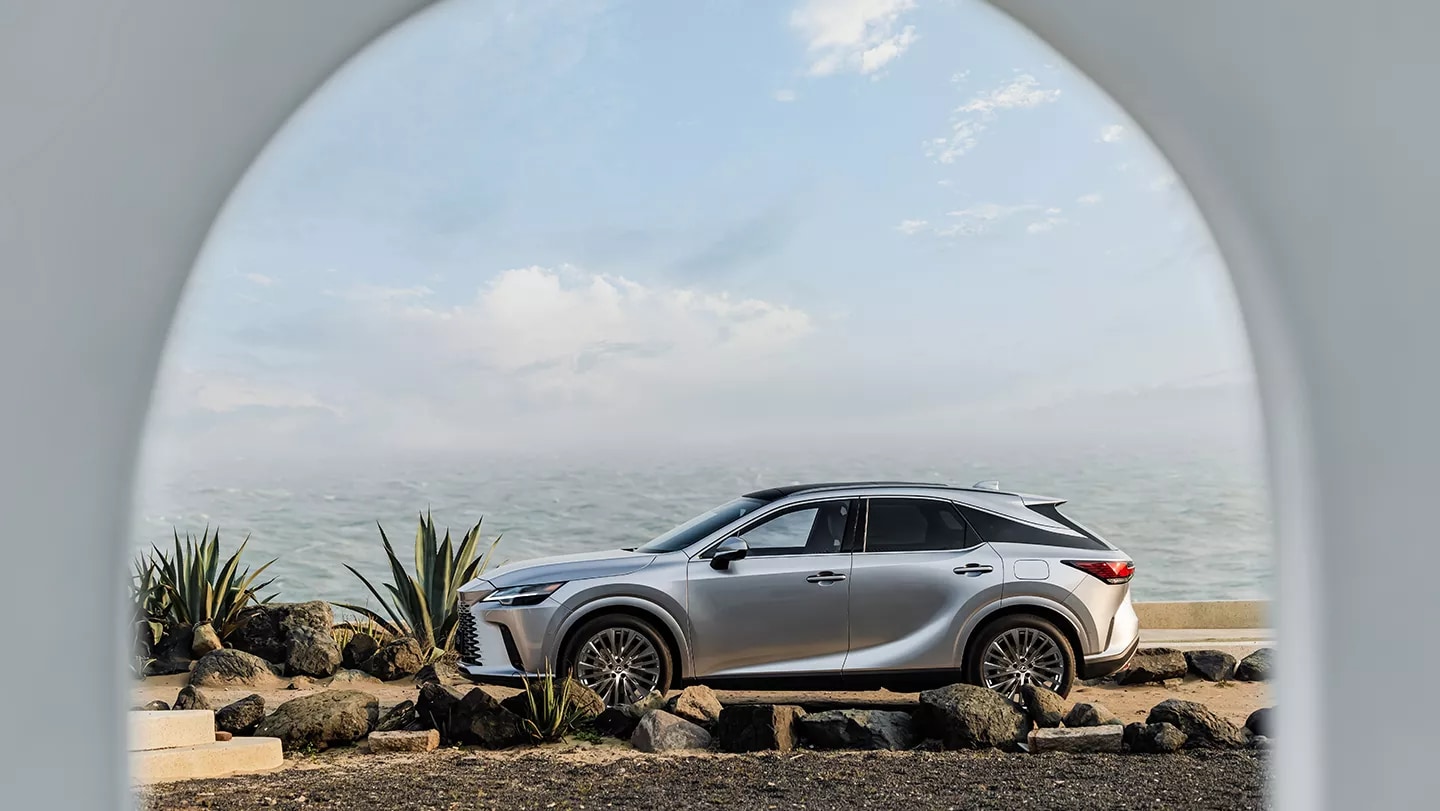 2025 Lexus RX
