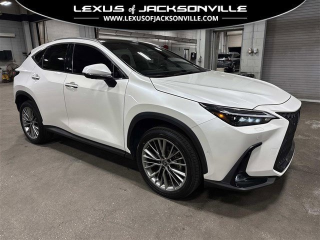 2022 Lexus NX Hybrid 350h's photo